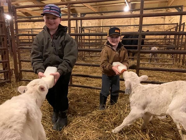 Kids feeding goats