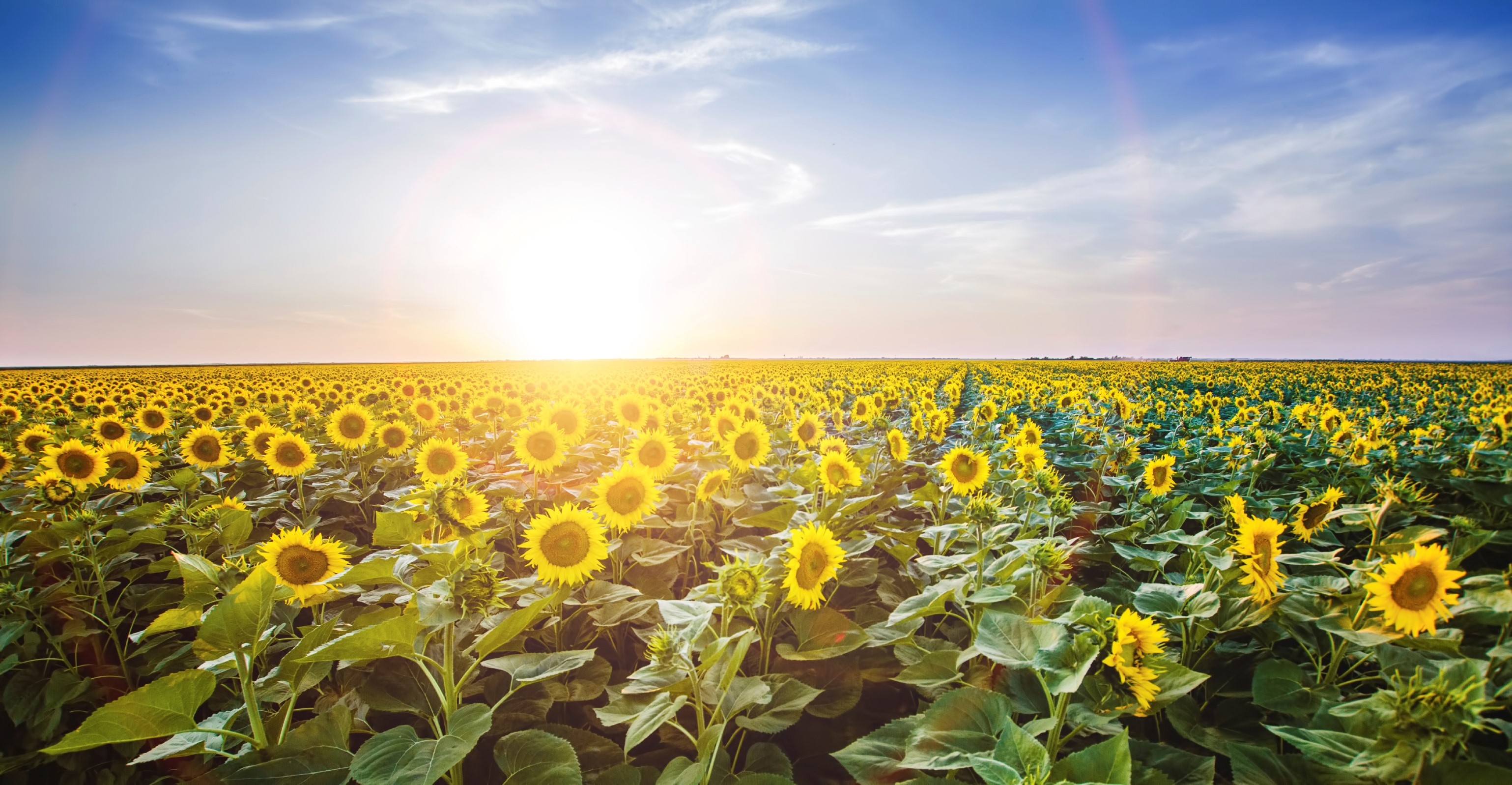 Premier Equipment South Dakota Agriculture Equipment